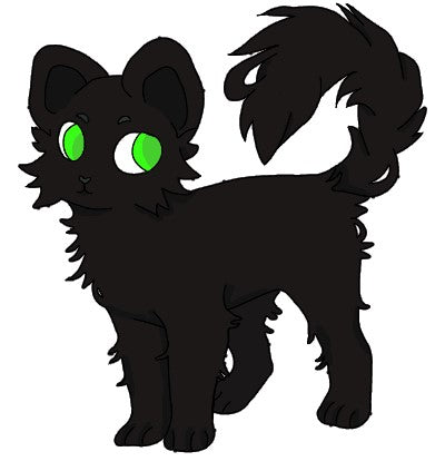 Midnight Version 1